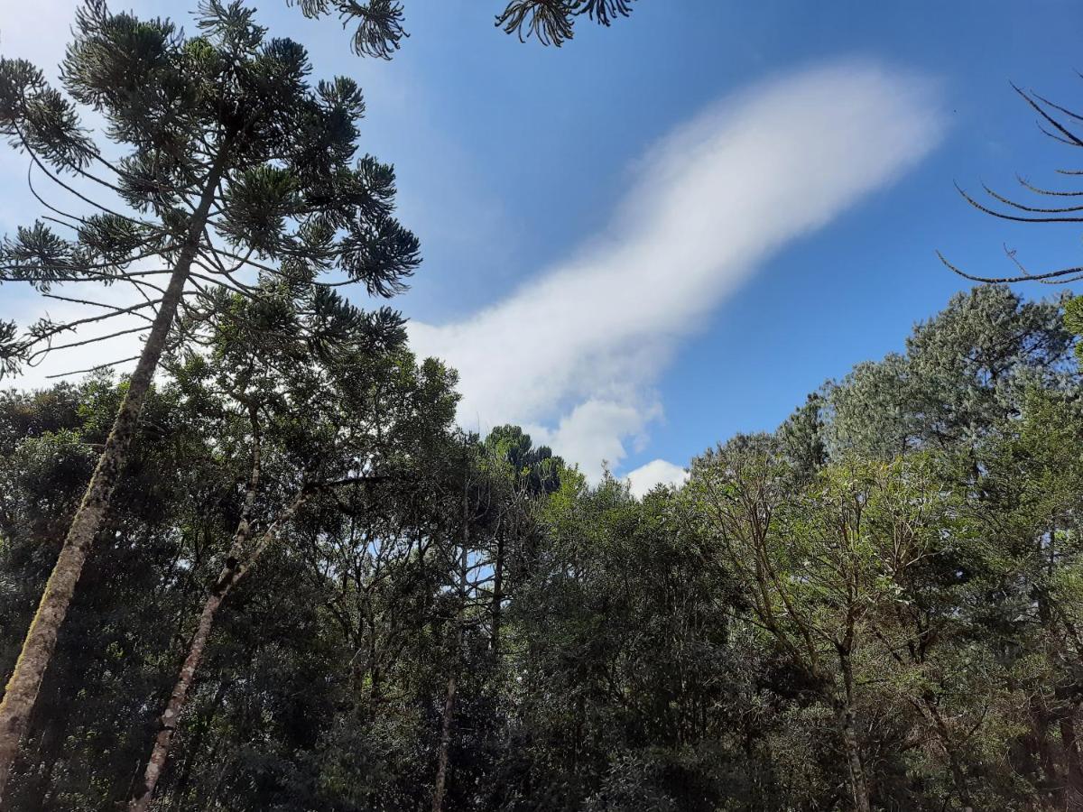 Pousada Bruxa Marela Monte Verde Kültér fotó